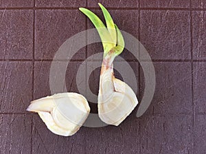 On the cutting Board is a garlic clove cut in half