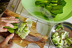 Cutting bok choy