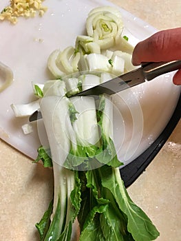 Cutting Bokchoy