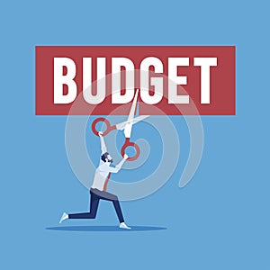 Cutting budget vector concept