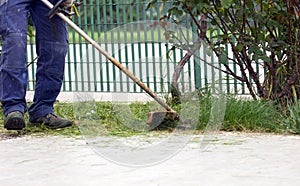 Cutting the bush