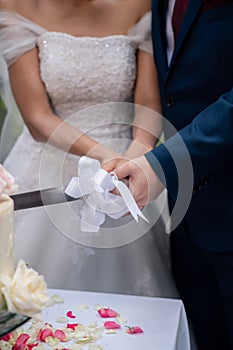 Cutting cake in sweet scene.