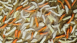 Cutting carrots, squash and radish into small pieces for drying