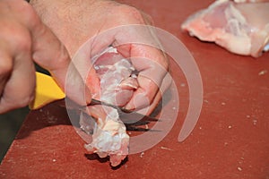 Cutting Chicken meat