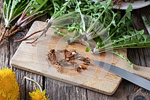 Cutting dandelion roots on a cutting board