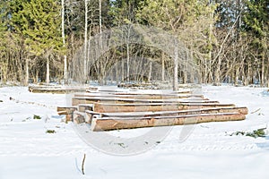 Cutting down trees in the forest