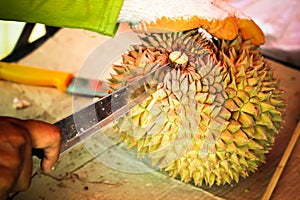 cutting durian