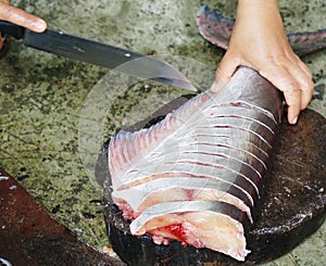 Cutting fish