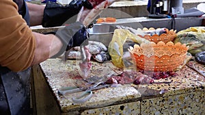 Cutting Fish in Market Stall. Woman Manual cleaning and Cuts Fresh Fish