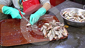 Cutting Fish in Market Stall. Woman Manual cleaning and Cuts Fresh Fish