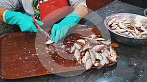 Cutting Fish in Market Stall. Woman Manual cleaning and Cuts Fresh Fish