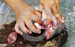 Cutting flesh Tilapia fish for cooking