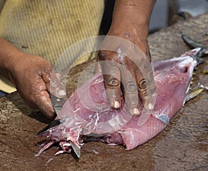 Cutting freshly caught fish