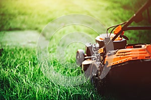 Cutting grass in backyard. Gardening and landscaping concept