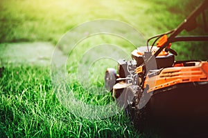 Cutting grass in backyard. Gardening and landscaping concept photo