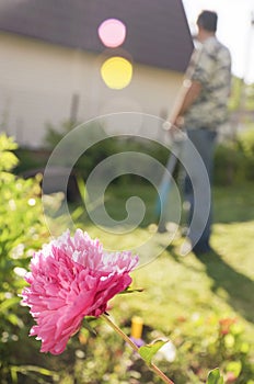 Cutting the grass in the garden