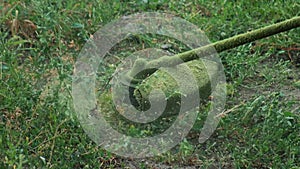 Cutting grass with a gasoline trimmer with a fishing line on the lawn in summer, close-up. Grass flies to the sides