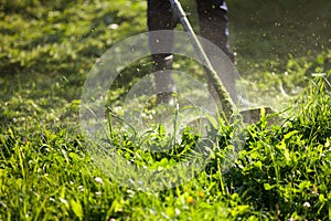 Cutting the grass trimmer. Man mowing grass on his land.