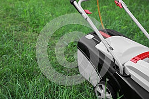Cutting green grass with lawn mower in garden, space for text