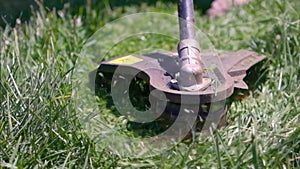 Cutting green grass with whipper snipper. Hand held grass trimmer mowing lawn. Grass shreds flying around in slow-mo