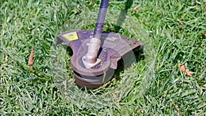 Cutting green grass with whipper snipper. Hand held grass trimmer mowing lawn. Grass shreds flying around in slow-mo