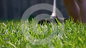 Cutting green grass with whipper snipper. Hand held grass trimmer mowing lawn. Grass shreds flying around in slow-mo