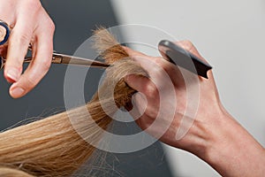 Cutting hair photo