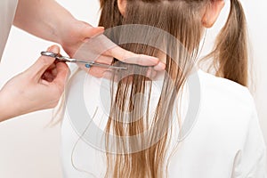 cutting hair close-up. professional scissors. saving money at a beauty salon.