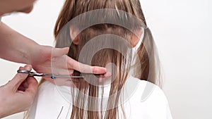 cutting hair close-up. professional scissors. saving money at a beauty salon.