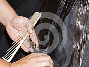 Cutting the hair tips