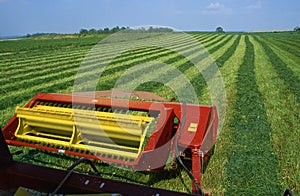 Cutting hay field