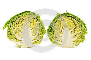 Cutting head cabbage