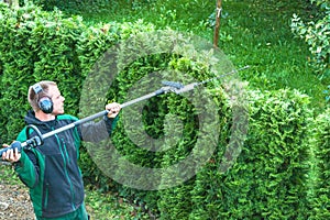 Cutting a hedge