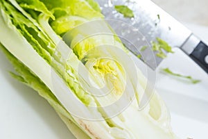 Cutting Lettuce for Salad at Home