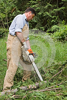 Cutting Limbs off fallen trees