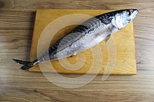 Cutting mackerel fish. mackerel fish carcass lying on a butcher board is a kind of serhu. cooking fish cutting. step 1