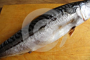 Cutting mackerel fish. mackerel fish carcass lying on a butcher board is a kind of serhu. cooking fish cutting. step 1