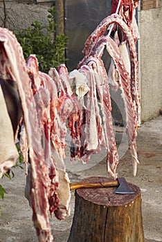 Cutting of meat hung during the slaughter in Malaga. Spain photo