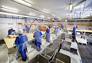 Cutting meat in slaughterhouse. The meat and sausage factory.