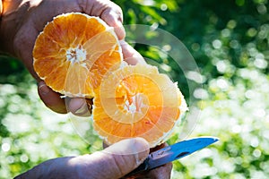 Cutting of a orange