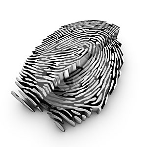 Cutting plane of a 3d fingerprint photo