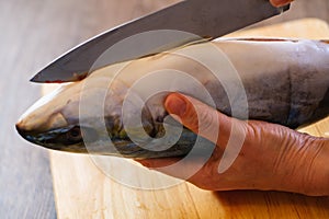 Cutting raw fish tuna food, cut