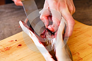 Cutting raw fish tuna food, red seafood