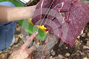 Cutting raw meat, Alberta, Canada