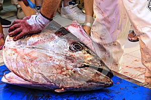 Cutting of red tuna in a fish market in Punta UmbrÃ­a, Huelva, S