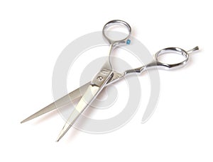 Cutting Shears photo