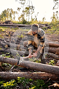 Cutting some firewood. Chopping wood. Ax in male hands. Lumbermans equipment.