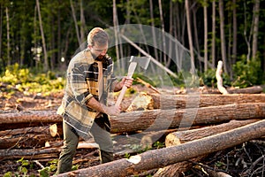 Cutting some firewood. Chopping wood. Ax in male hands. Lumbermans equipment.