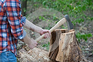 Cutting some firewood. Chopping wood. Wood chopper in male hands. Lumbermans equipment. Forestry logging. Timber