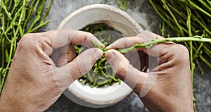 Cutting some wild asparagus, web banner